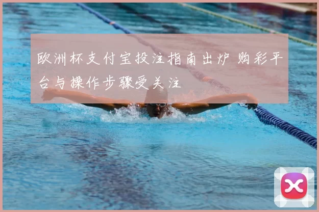 欧洲杯支付宝投注指南出炉 购彩平台与操作步骤受关注