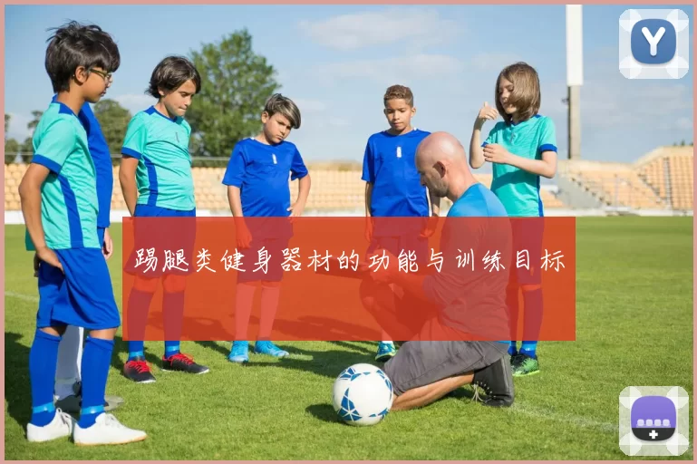 踢腿类健身器材的功能与训练目标
