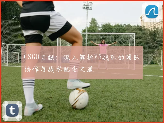 CSGO巨献：深入解析V5战队的团队协作与战术配合之道
