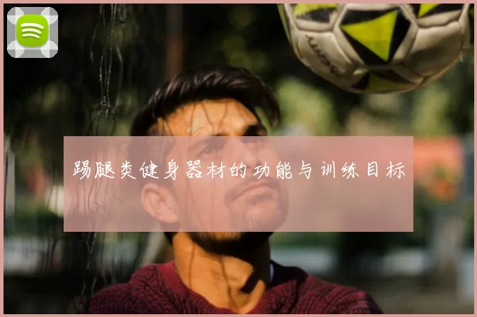 踢腿类健身器材的功能与训练目标