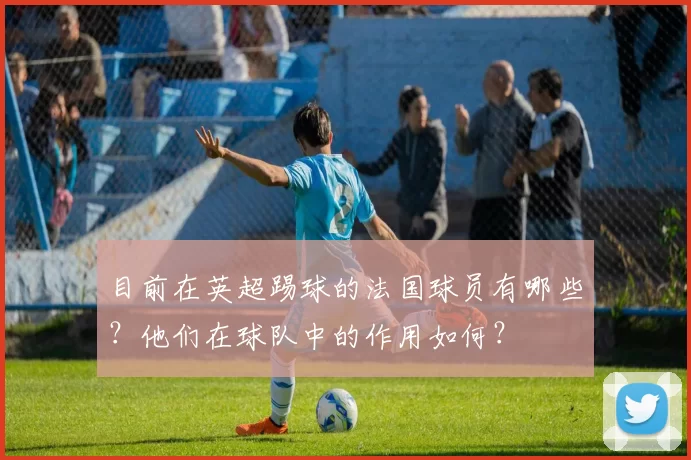 目前在英超踢球的法国球员有哪些？他们在球队中的作用如何？