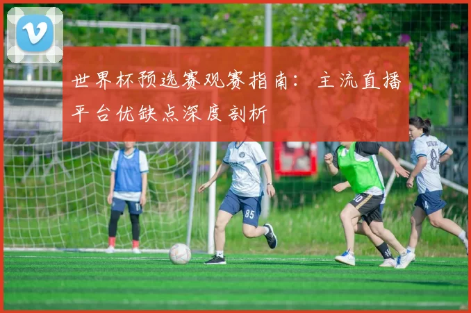 世界杯预选赛观赛指南:主流直播平台优缺点深度剖析