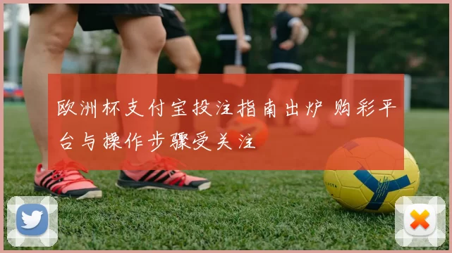 欧洲杯支付宝投注指南出炉 购彩平台与操作步骤受关注