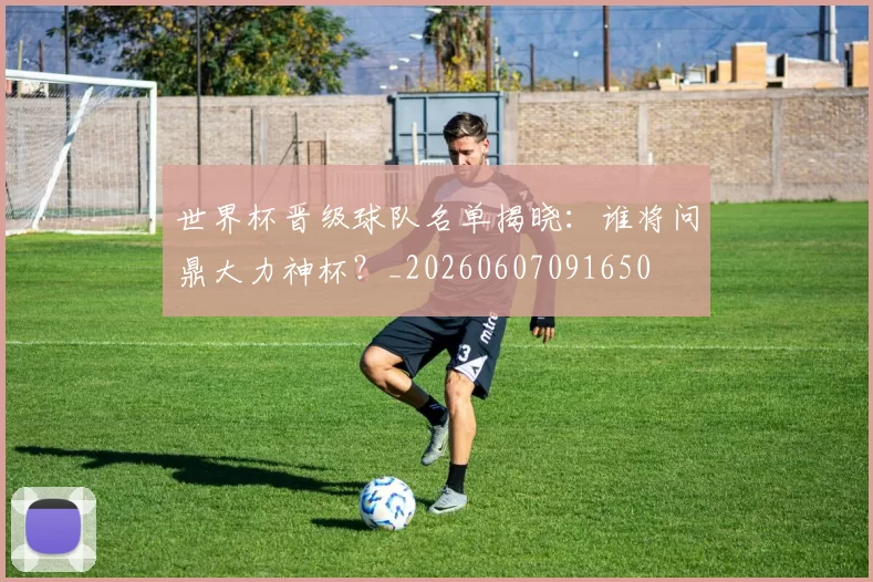 世界杯晋级球队名单揭晓:谁将问鼎大力神杯?_20260607091650