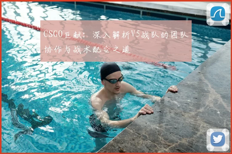 CSGO巨献：深入解析V5战队的团队协作与战术配合之道
