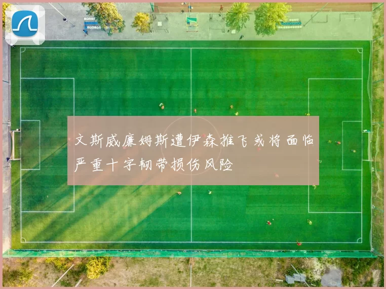文斯威廉姆斯遭伊森推飞或将面临严重十字韧带损伤风险