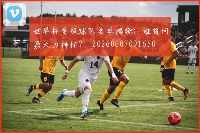 世界杯晋级球队名单揭晓:谁将问鼎大力神杯?_20260607091650