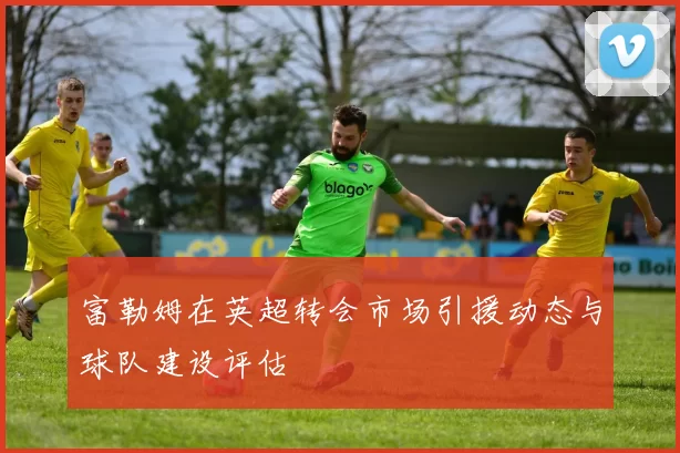 富勒姆在英超转会市场引援动态与球队建设评估