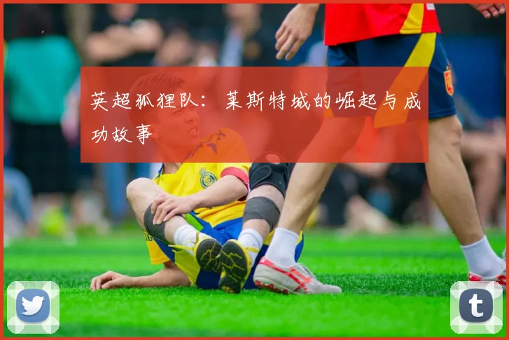 英超狐狸队：莱斯特城的崛起与成功故事