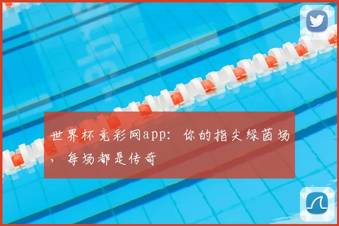 世界杯竞彩网app：你的指尖绿茵场，每场都是传奇