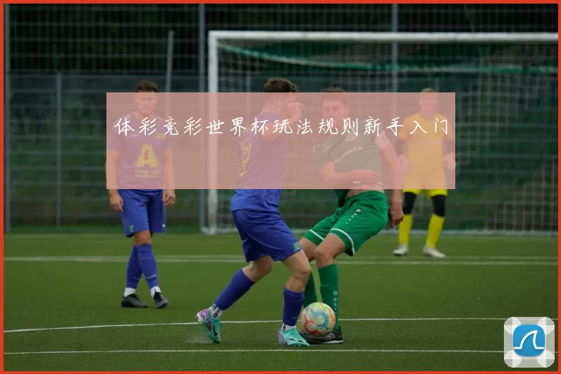 体彩竞彩世界杯玩法规则新手入门
