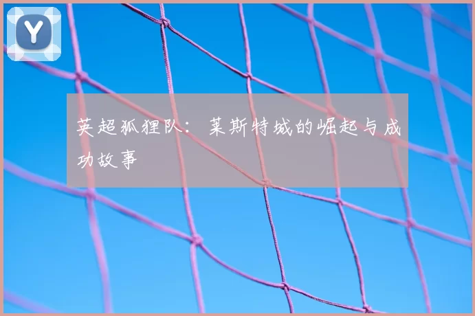 英超狐狸队：莱斯特城的崛起与成功故事