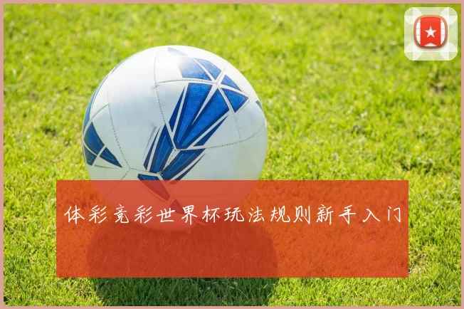 体彩竞彩世界杯玩法规则新手入门