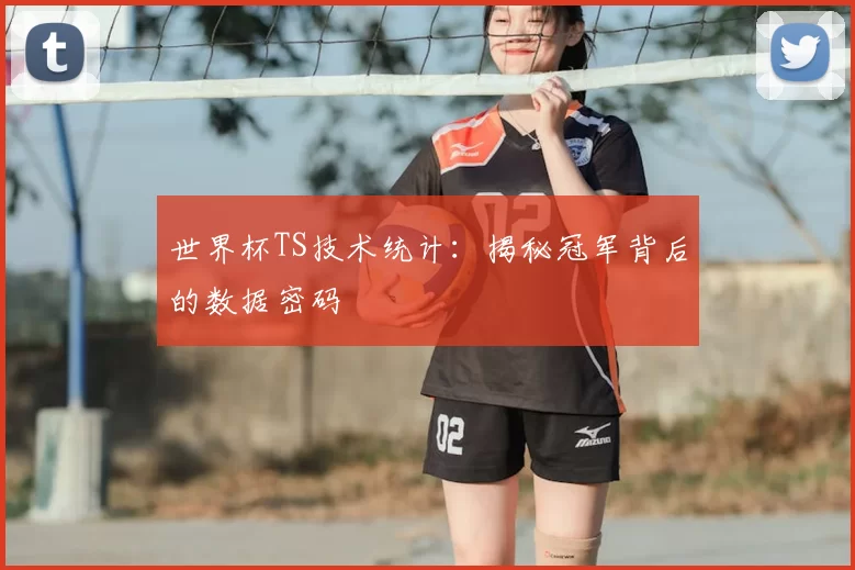 世界杯TS技术统计：揭秘冠军背后的数据密码