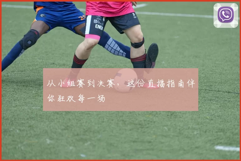 从小组赛到决赛，这份直播指南伴你狂欢每一场